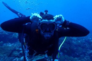 diving banda sea hammerhead sharks