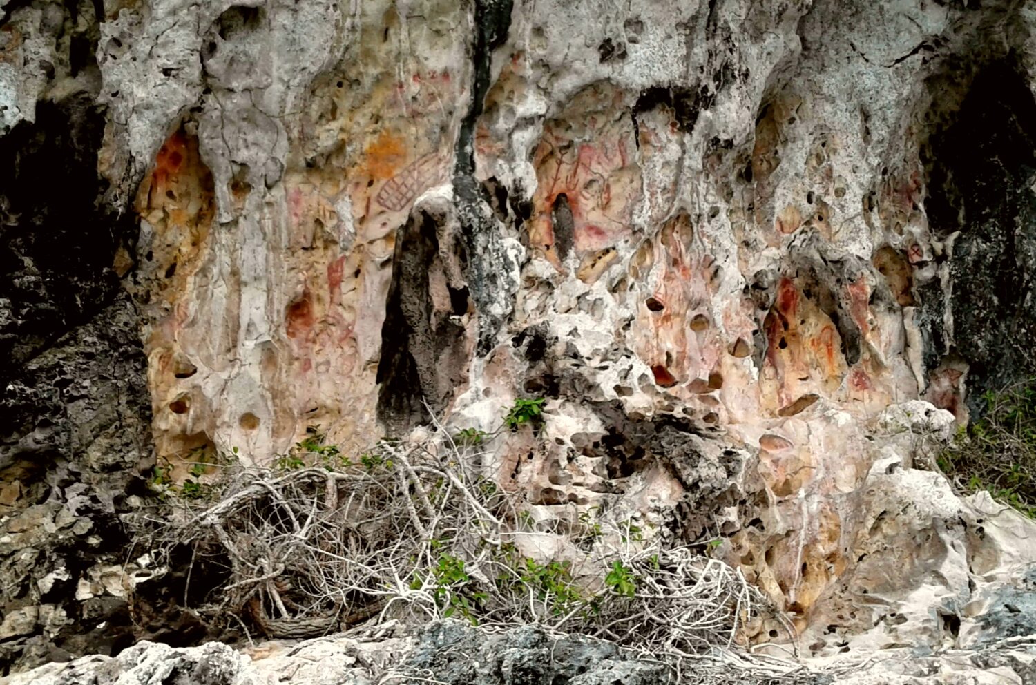 Rock paintings Triton Bay