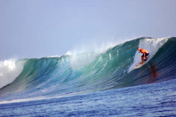 Surfing Liveaboard wave