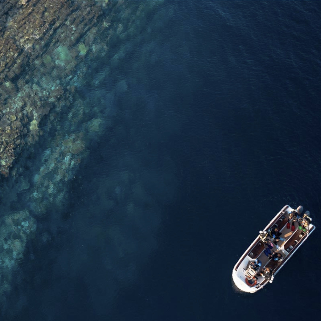 Croisière plongée komodo archipelago wunderpus annexe et eau transparente