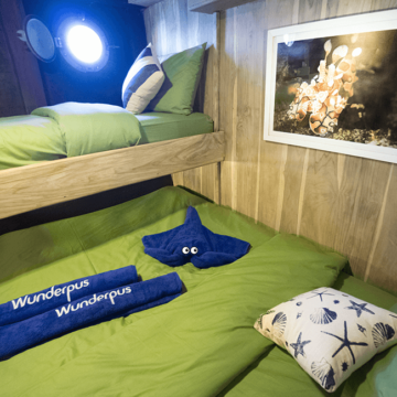 Croisière plongée komodo wunderpus bateau cabine lits double et lit superposé