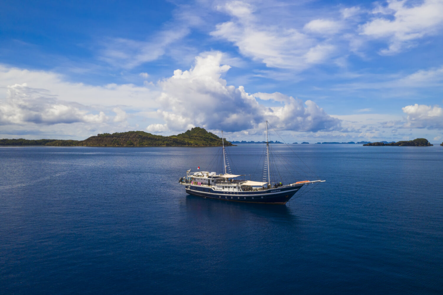 Seahorse liveaboard diving expeditions