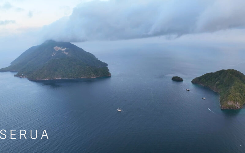 Expédition croisière plongée aux requins-marteaux de l'île de Serua – Mer de Banda sauvage & Îles Oubliées